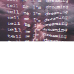 Dreaming Birds<3