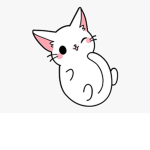 ki cat ####