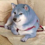 ɴᴏᴛ ɴᴏʀᴍᴀʟ
