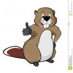 The Beaver Approves