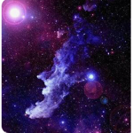 •・Mσσɴℓιт・•