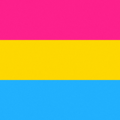 Pride Flag Pansexual Roblox decal