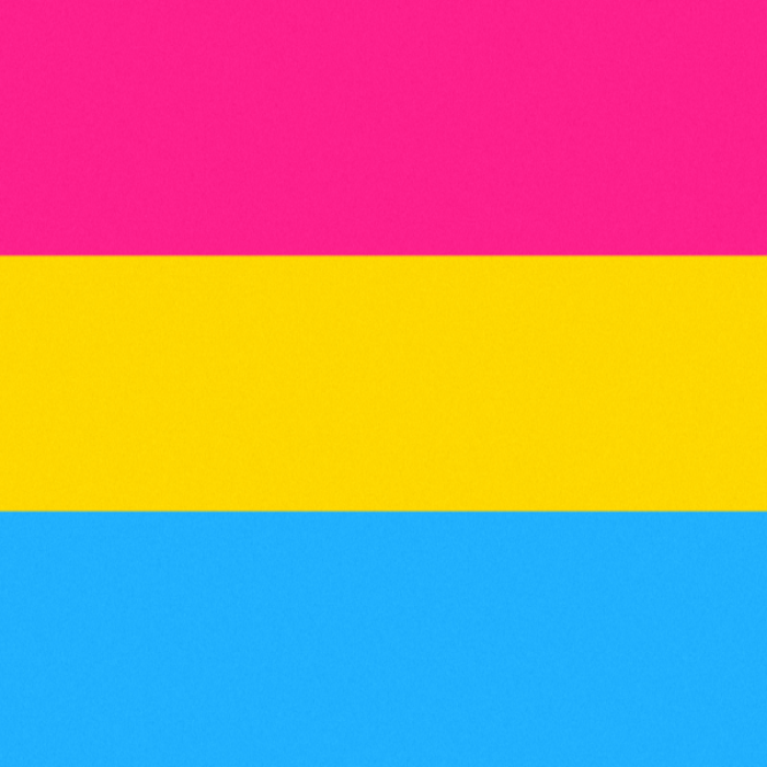 Pride Flag Pansexual Roblox decal