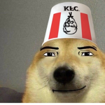 DOGES ARE REALLY EPIC