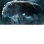 Wolves clan of gray and white