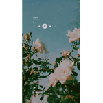 •~•Blossoms•~•