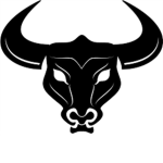 Battle Of The Bulls Racing Team