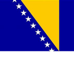 Bosnia Armed Forces (BAF)
