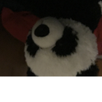 iloverobloxforever12