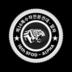제16특수작전분견대