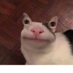 Cursed Clxut