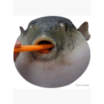 -=- The Pufferfish Army -=-