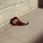 ~.<Wig_Snatchers>.~
