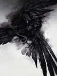 the nest{ 둥지}