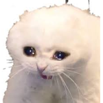 ROBUx poor kids only