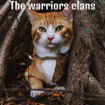 The warriors clans~