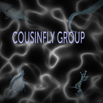 COUSINFLY NEW GROUP