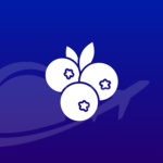 Blueberry.rblx