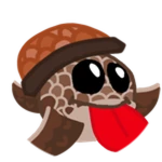 Turtle Alalal