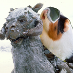 TaunTaun the Piggies Strike Back