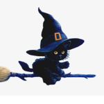 •~Little witches~•
