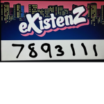 eXistenZz