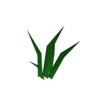 Grass