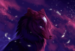 THE PACK OF COOL WOLVES