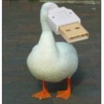 ""duckies""