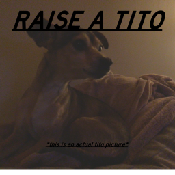 Raise A Tito