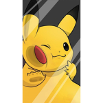 Pikachu home