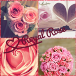 RoyalRøse fans!