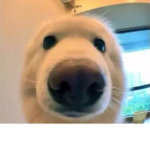 JJJJJJJJJJJJJJJJJJJJJJJJJJ