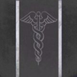 HELIX | Honors