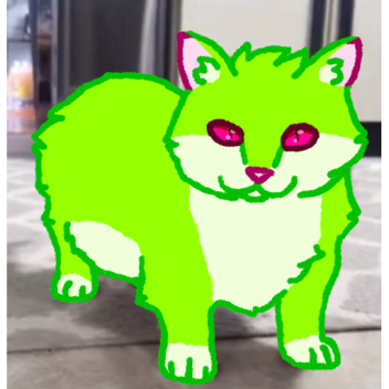 Scott's Vibe