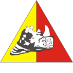 1st Cavalry Battalion