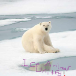 Ice Animals United