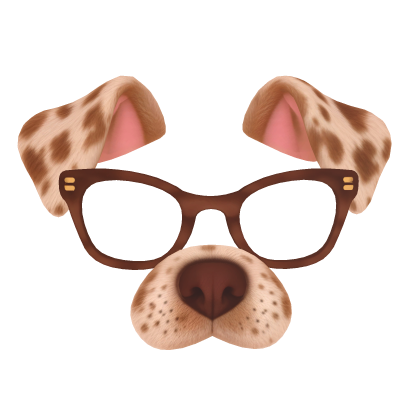 Dog Filter