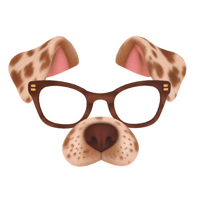 Dog Filter