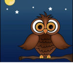Midnights birds group