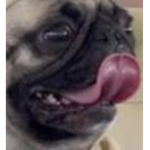 Ayy Lazanga