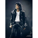 ~ Michael Jackson Fan Group ~
