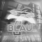 Blau Developers