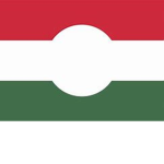 Hungarian Revolutionaries