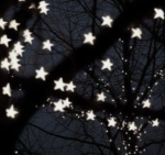 Stella's Stars