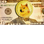 Doge Fan Group Forever