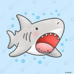 kapi and sharks crew