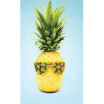 Pineapple Club Group Thumbnail