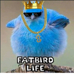 KingBirbStudios