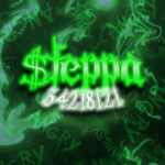 SteppaDHM